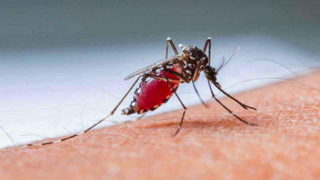 Dengue en Boyacá