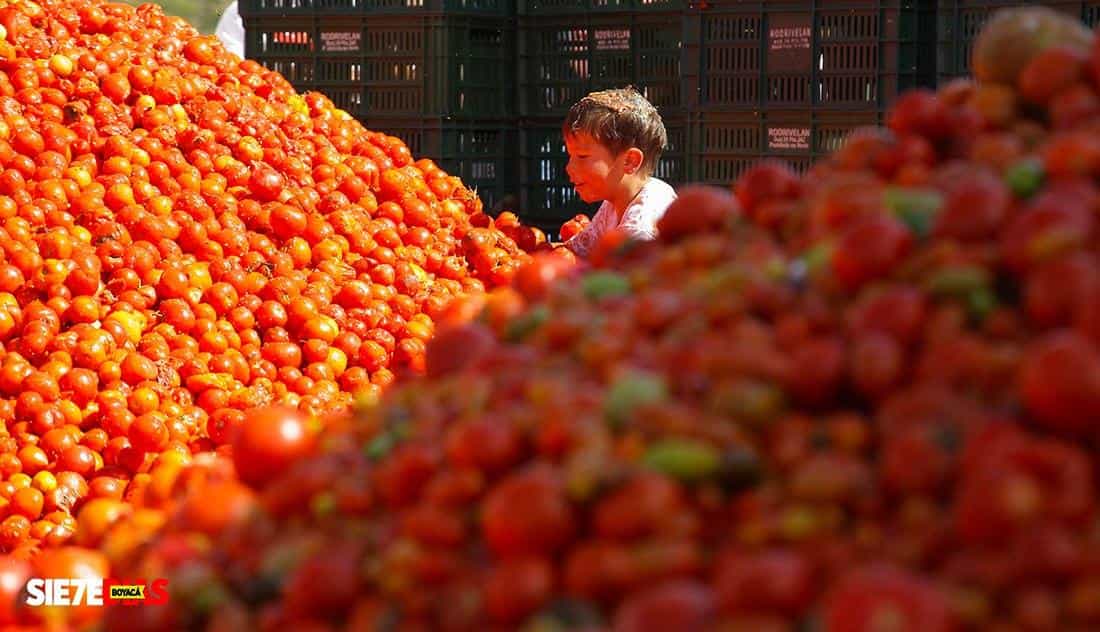 La versión 14 de la Gran Tomatina Boyacense tendrá que esperar hasta el año entrante 16