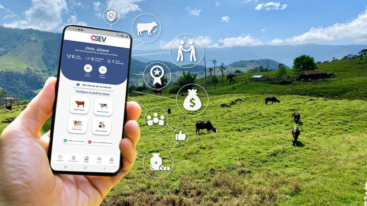 La plataforma digital que conecta a compradores y vendedores de ganado en Colombia 1