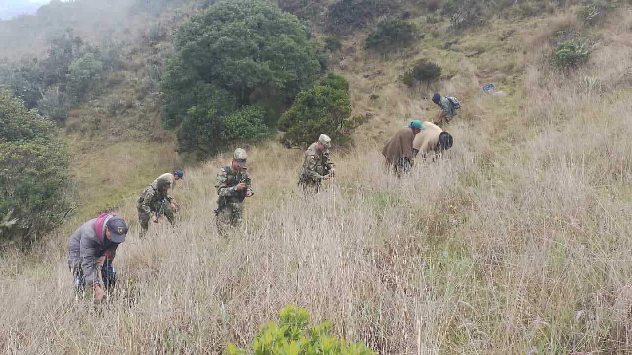 Soldados adelantaron diferentes jornadas ambientales en diferentes municipios del departamento de Boyacá. Foto: Primera Brigada del Ejército Nacional.