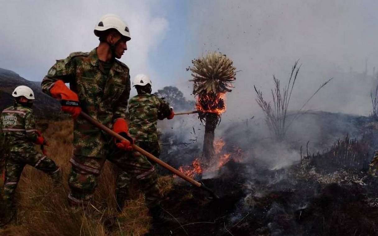 Soldados del pelotón de Desastres del Ejército Nacional apoyaron las labores de extinción del incendio en el páramo de Las Alfombras. Fotos: archivo particular
