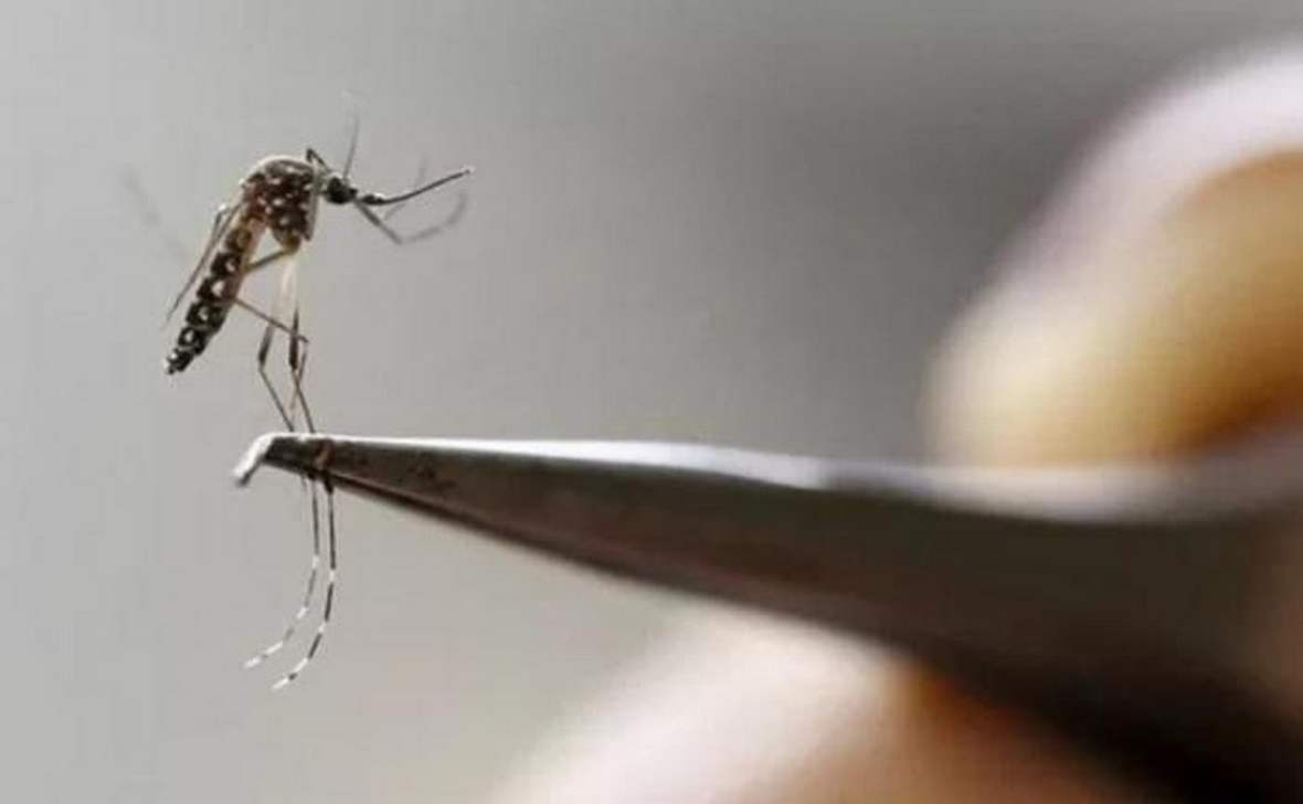 En cumplimiento de la semana 34, se notificaron 39 nuevos casos de dengue en todo el departamento de Casanare. Foto: Archivo particular.