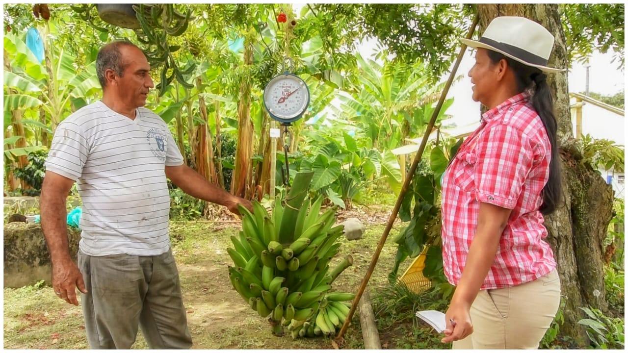 Desde pequeños productores hasta la agroindustria pueden acceder a la Línea de Crédito Verde para desarrollar sus proyectos. Foto: archivo particular