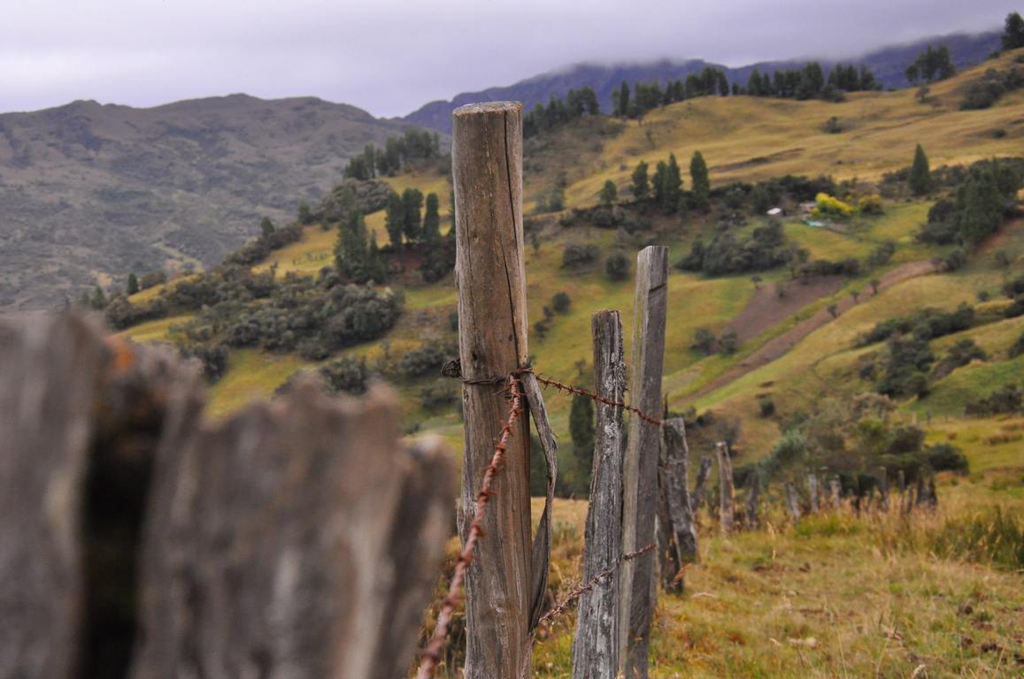 Duitama es agrícola y pecuario, y lo que se busca es articular estas dos áreas y generar una alternativa de productos, para hacer una buena rotación de cultivos. Foto: Gerson Flórez/Boyacá Sie7e Días.