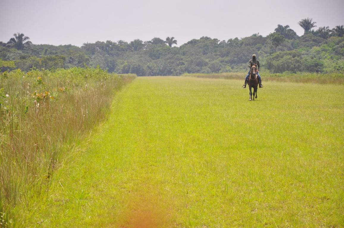 Recorridos a caballo  en el área rural de Orocué,  zona de la Orinoquía. Foto: Gerson Flórez/ Boyacá Sie7e Días.