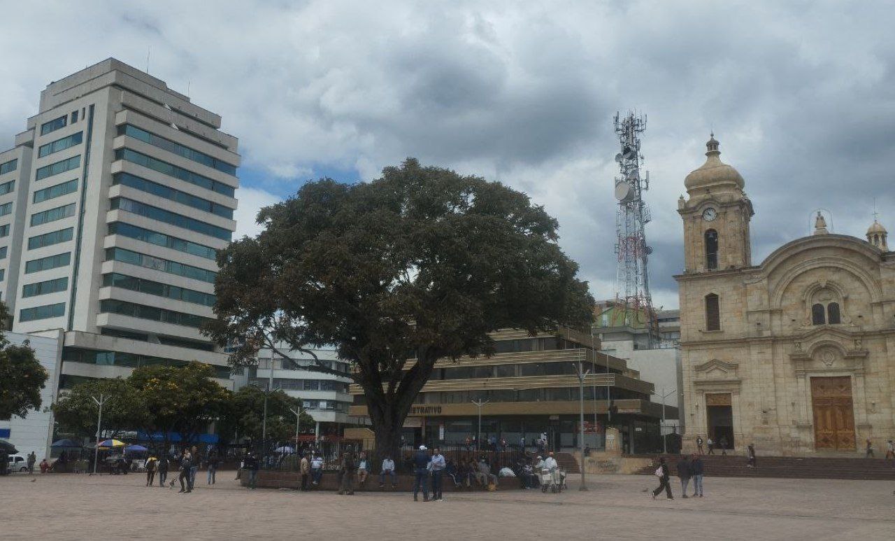 la cedrela de duitama