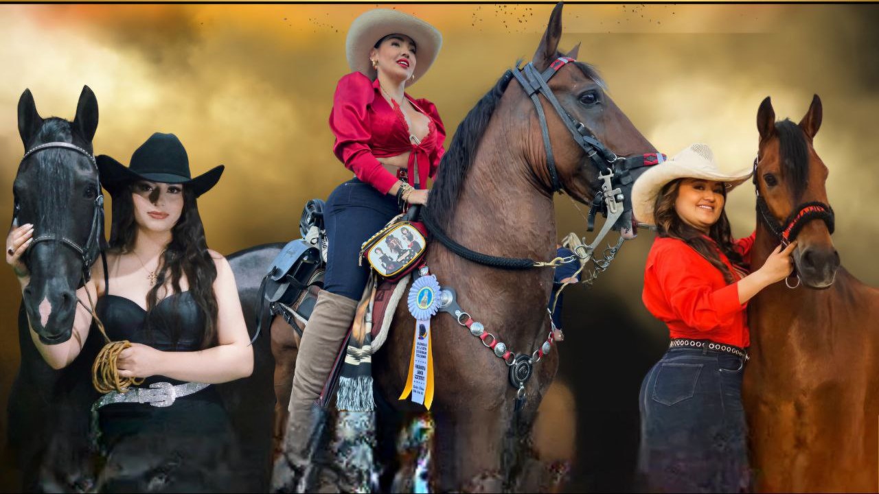 En Sotaquirá se llevará a cabo la IX Cabalgata Femenina ‘Elegancia y pasión’, este sábado 31 de mayo #Tolditos7días 2 Cabalgata femenina en Sotaquira Mayo 27 del 2025 Foto suministrada