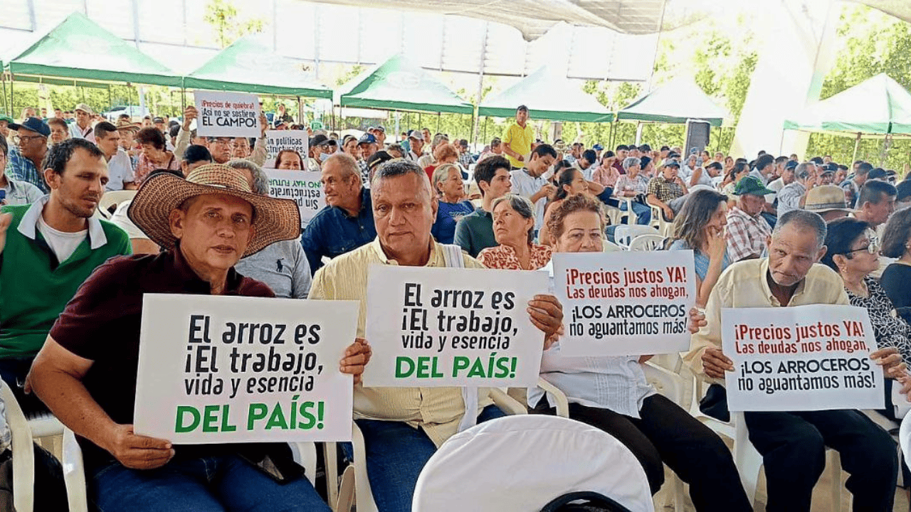 Arroceros reclaman cumplimiento de los pactos firmados con el Gobierno 3 arroceros inconformes