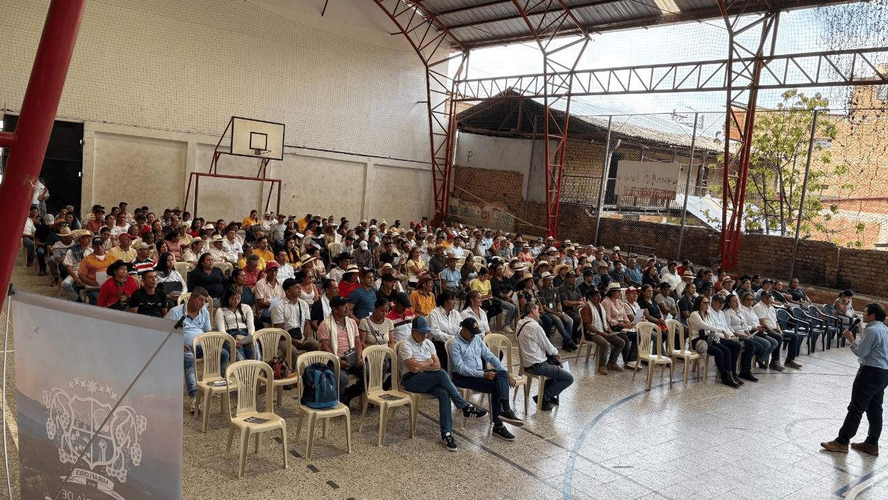 En Miraflores se realiza la séptima versión del concurso ‘Aroma de Libertad’, para incentivar la producción cafetera de calidad en Boyacá 2 cafe boyacense