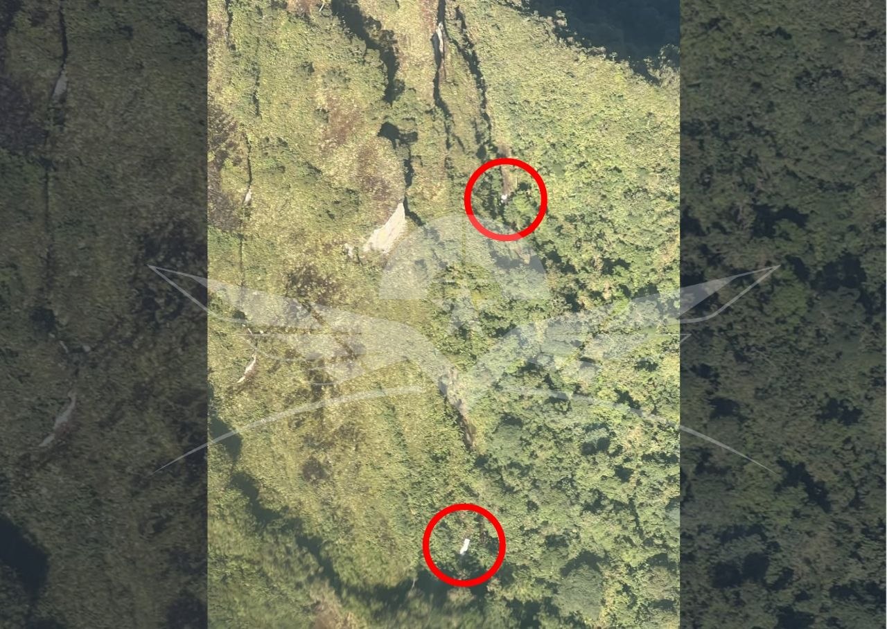 En los círculos rojos están los indicios de la aeronave. Foto: FAC