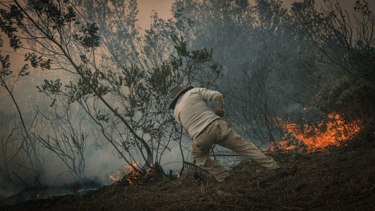 Cientos de personas permanecen en tierra tratando de apagar el fuego. Foto: Andrés Jiménez