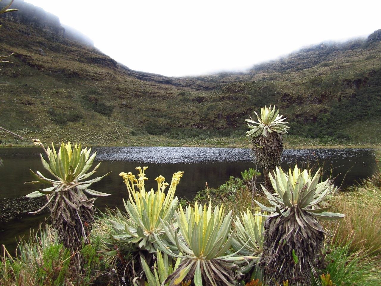 Laguna de Iguaque. Foto: archivo particular